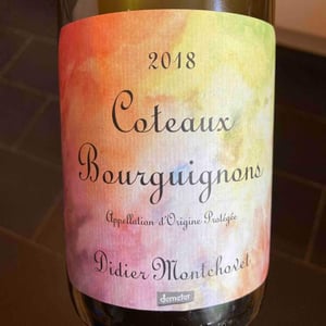 Coteaux Bourguignons - Domaine Montchovet - Didier Montchovet 