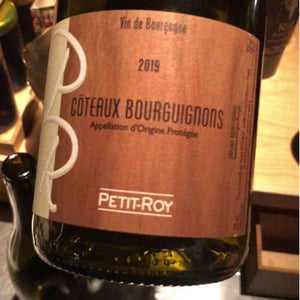 Coteaux Bourguignons - Domaine Petit-Roy - Seiichi Saito -2019