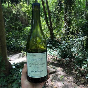 Côteaux Bourguignons - Sextant - Julien Altaber & Carole Schwab 