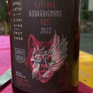 Côteaux Bourguignons Rosé - Chapuis & Chapuis - Romain & Jean-Guillaume Chapuis -2023