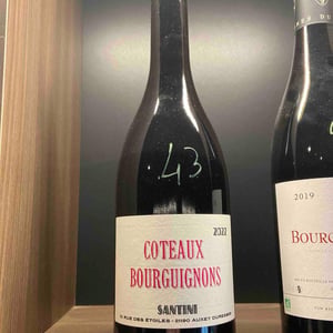 Coteaux Bourguignons - Santini Collective - Christopher & Patrick Santini 