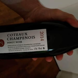 Coteaux Champenois - Champagne Fleury - morgane-jean-sebastien-benoit-fleury