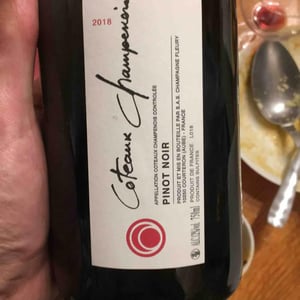 Coteaux Champenois - Champagne Fleury - Morgane, Jean-Sébastien & Benoit Fleury 