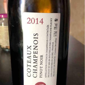 Coteaux Champenois - Champagne Fleury - Morgane, Jean-Sébastien & Benoit Fleury 
