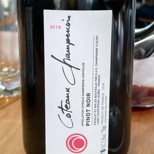 Coteaux Champenois - Champagne Fleury - morgane-jean-sebastien-benoit-fleury