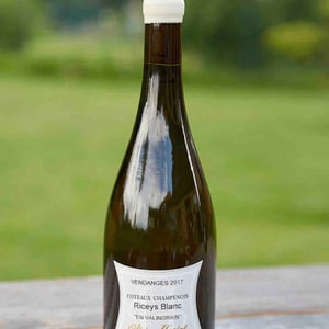 Coteaux Champenois Riceys Blanc "En Valingrain" - Champagne Olivier Horiot - olivier-horiot