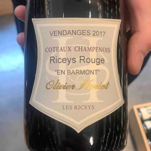 Coteaux Champenois Riceys Rouge "En Barmont" - Champagne Olivier Horiot - Olivier Horiot 
