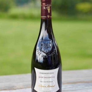 Coteaux Champenois Rosé De Riceys "En Valingrain" - Champagne Olivier Horiot - olivier-horiot