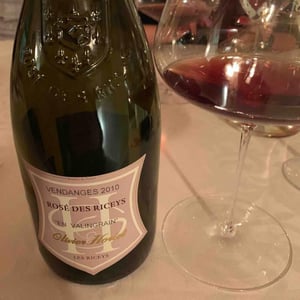 Coteaux Champenois Rosé De Riceys "En Valingrain" - Champagne Olivier Horiot - Olivier Horiot 