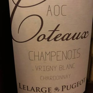 Coteaux Champenois Vrigny Blanc - Champagne Lelarge Pugeot - Famille Lelarge 