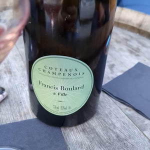 Coteaux Champenois - Francis Boulard & Fille - francis-boulard-delphine-richard