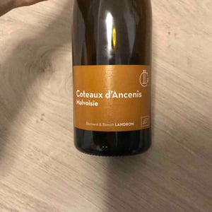 Coteaux d’Ancenis - Domaine Landron-Chartier - bernard-francoise-benoit-landron