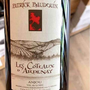 Coteaux D'Ardenay - Patrick Baudouin - patrick-baudouin