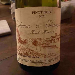Pinot Noir - Pascal Henriot - pascal-henriot