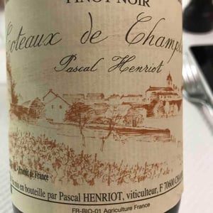 Pinot Noir - Pascal Henriot - pascal-henriot