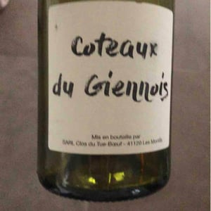 Coteaux du Giennois - Clos du Tue-Bœuf - Zoé, Louise & Thierry Puzelat 