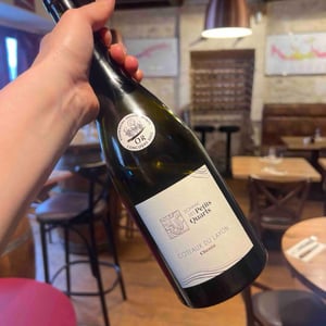 Coteaux du layon - Domaine des petits quarts - jean-baptiste-godineau -2022