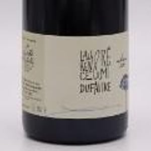 Côte de Brouilly - Domaine de Botheland - remi-dufaitre-laurence-liatard