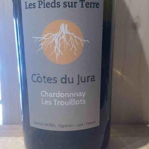 Chardonnay Les Trouillots (new label) - Les Pieds Sur Terre - Valentin Morel -2020