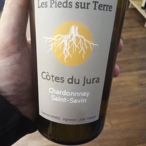 Chardonnay Saint-Savin - Les Pieds Sur Terre - valentin-morel