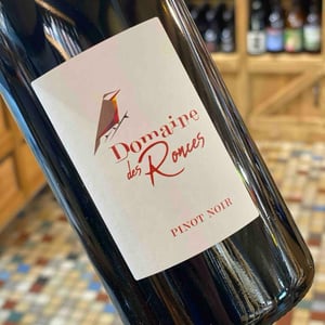 Côtes du Jura - Domaine des Ronces - Michel & Kevin Mazier 