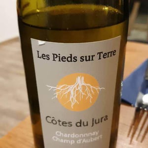 Chardonnay Champ d'Aubert - Les Pieds Sur Terre - Valentin Morel 