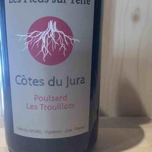 Poulsard Les Trouillots - Les Pieds Sur Terre - valentin-morel