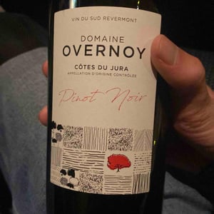 Pinot Noir - Domaine Overnoy - Guillaume Overnoy 