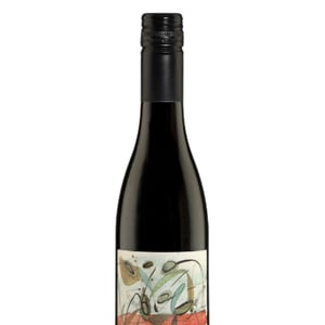 Les Oliviers - Les Vignerons d'Estézargues - Les Vignerons d'Estézargues -2020