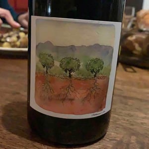 Domaine Marcel Richaud - Marcel Richaud - Côtes du Rhône Nouveau