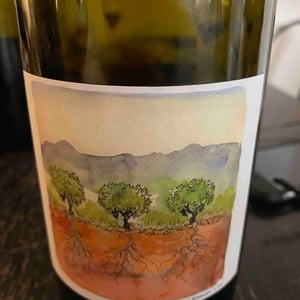 Domaine Marcel Richaud - Marcel Richaud - Côtes du Rhône Nouveau