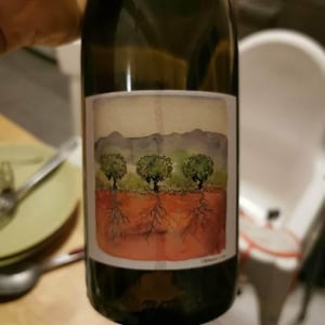 Domaine Marcel Richaud - Marcel Richaud - Côtes du Rhône Nouveau
