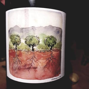 Domaine Marcel Richaud - Marcel Richaud - Côtes du Rhône Nouveau