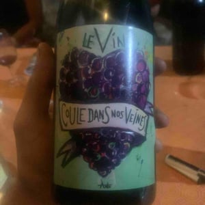 Le Vin Coule Dans Nos Veines - Domaine Giacometti - sarah-simon-giacometti