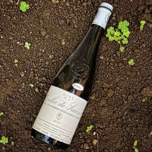 Coulée de Serrant - Château de la Roche Aux Moines - Coulée de Serrant - Virginie & Nicolas Joly -2011