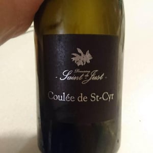 Coulée de St-Cyr 2011