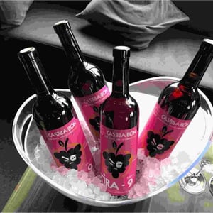 Kira 9 - La Tintorera Compañia de Vinos - Gustavo Cortés Bueno 