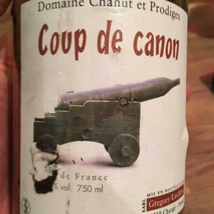 Chahut et Prodiges - Gregory Leclerc - Coup de Canon