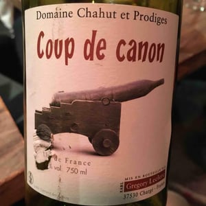 Chahut et Prodiges - Gregory Leclerc - Coup de Canon