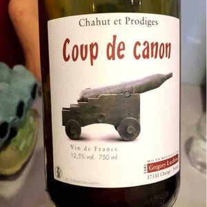Chahut et Prodiges - Gregory Leclerc - Coup de Canon