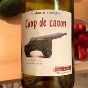 Coup de Canon - Chahut et Prodiges - gregory-leclerc