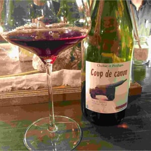 Coup de Canon - Chahut et Prodiges - Gregory Leclerc 