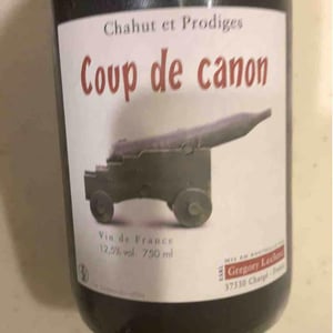 Coup de Canon - Chahut et Prodiges - Gregory Leclerc 