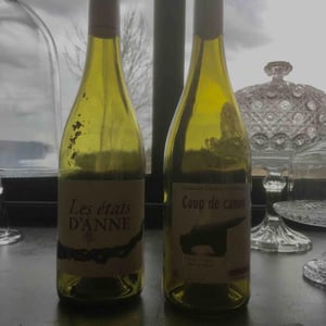 Coup de Canon - Chahut et Prodiges - Gregory Leclerc 