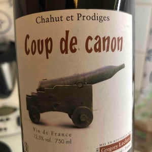 Coup de Canon - Chahut et Prodiges - Gregory Leclerc 