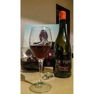 Coup de Foudre (Fleurie) - Les Bertrand - guy-annick-yann-bertrand