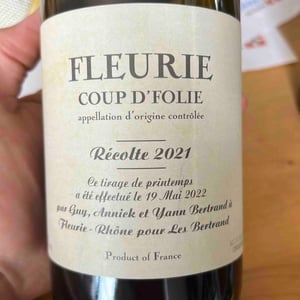 Coup de Foudre (Fleurie) - Les Bertrand - guy-annick-yann-bertrand