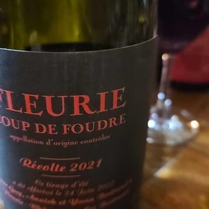 Coup de Foudre (Fleurie) - Les Bertrand - guy-annick-yann-bertrand