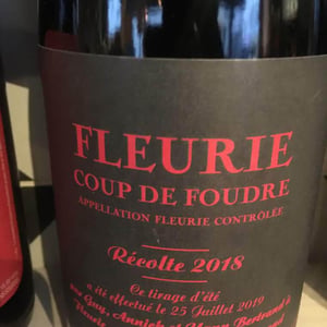 Coup de Foudre (Fleurie) - Les Bertrand - guy-annick-yann-bertrand