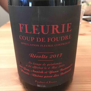 Coup de Foudre (Fleurie) - Les Bertrand - guy-annick-yann-bertrand